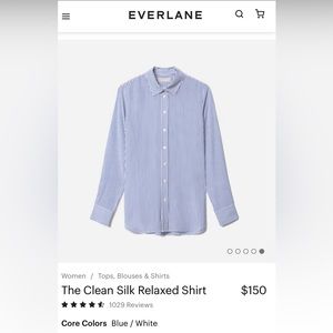 Everlane Clean Silk Relaxed Shirt